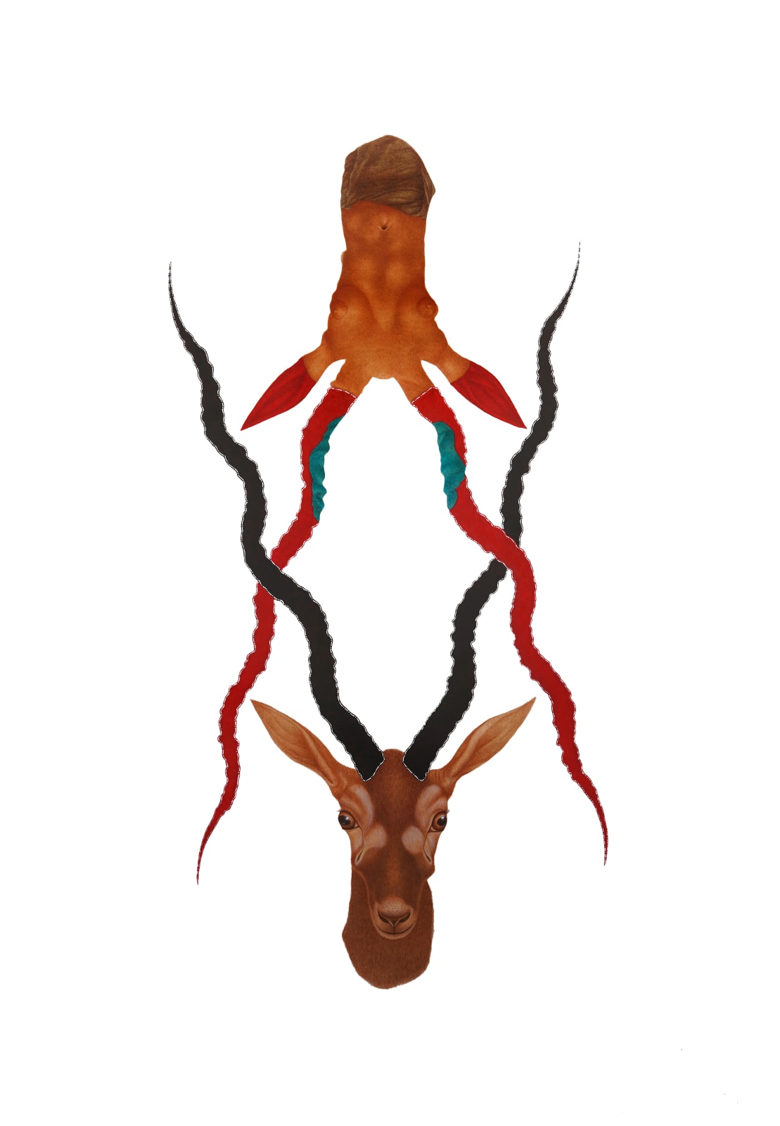 Muhammad Zeeshan, Taxidermy, 2022