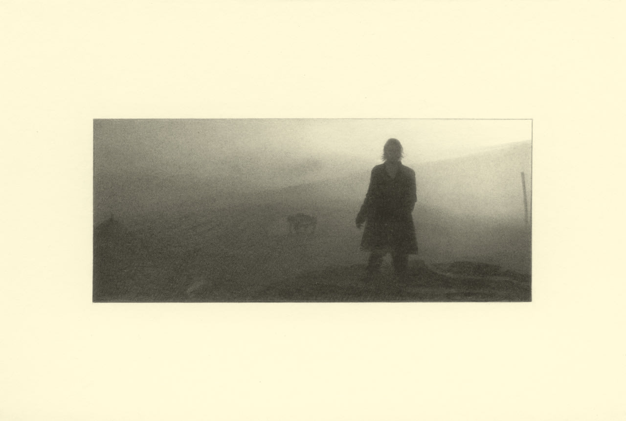 Marie Harnett, Mist, 2014