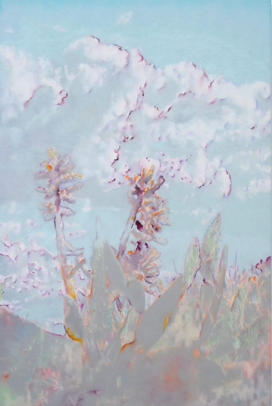 Martine Poppe, A rendering of the visual universe, 2022