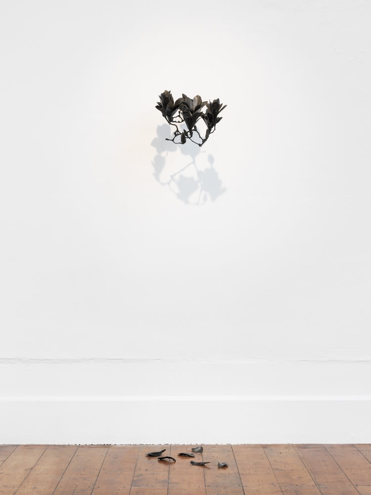Richard Stone, in the shade of the magnolias, 2014