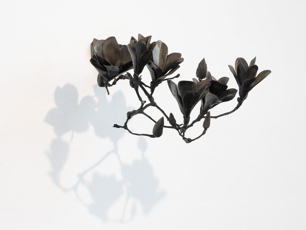 Richard Stone, in the shade of the magnolias, 2014