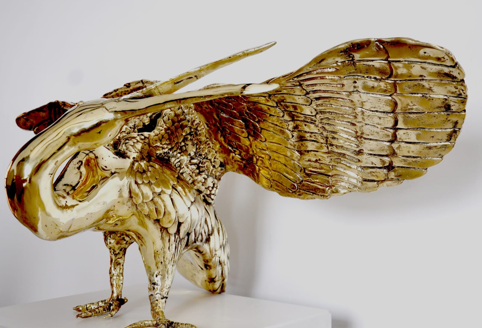 Radhika Agarwala, The Golden Queen Resurrection, 2013