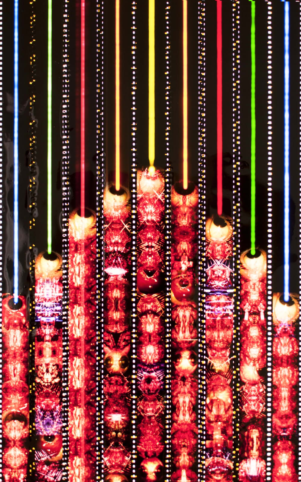 Hector Castells Matutano, Organ, 2011