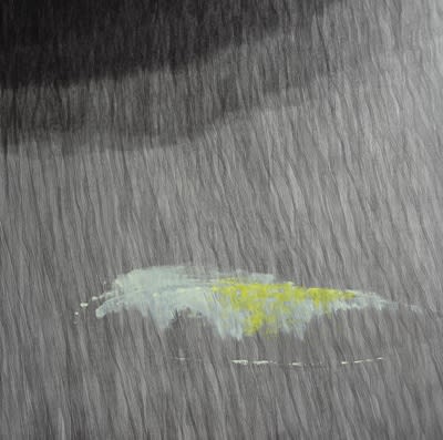Mirna Krešić, Untitled 9, 2013