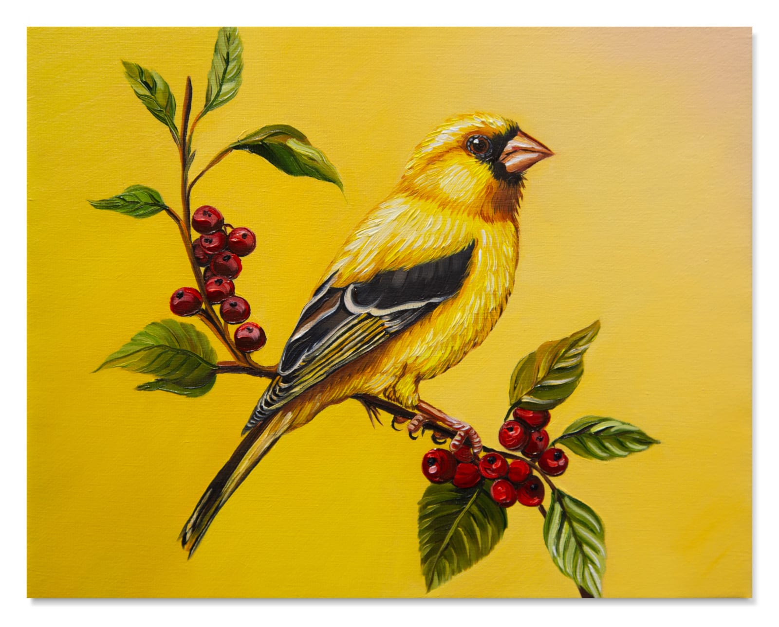 Christina Nicodema, Bird (yellow #2), 2025