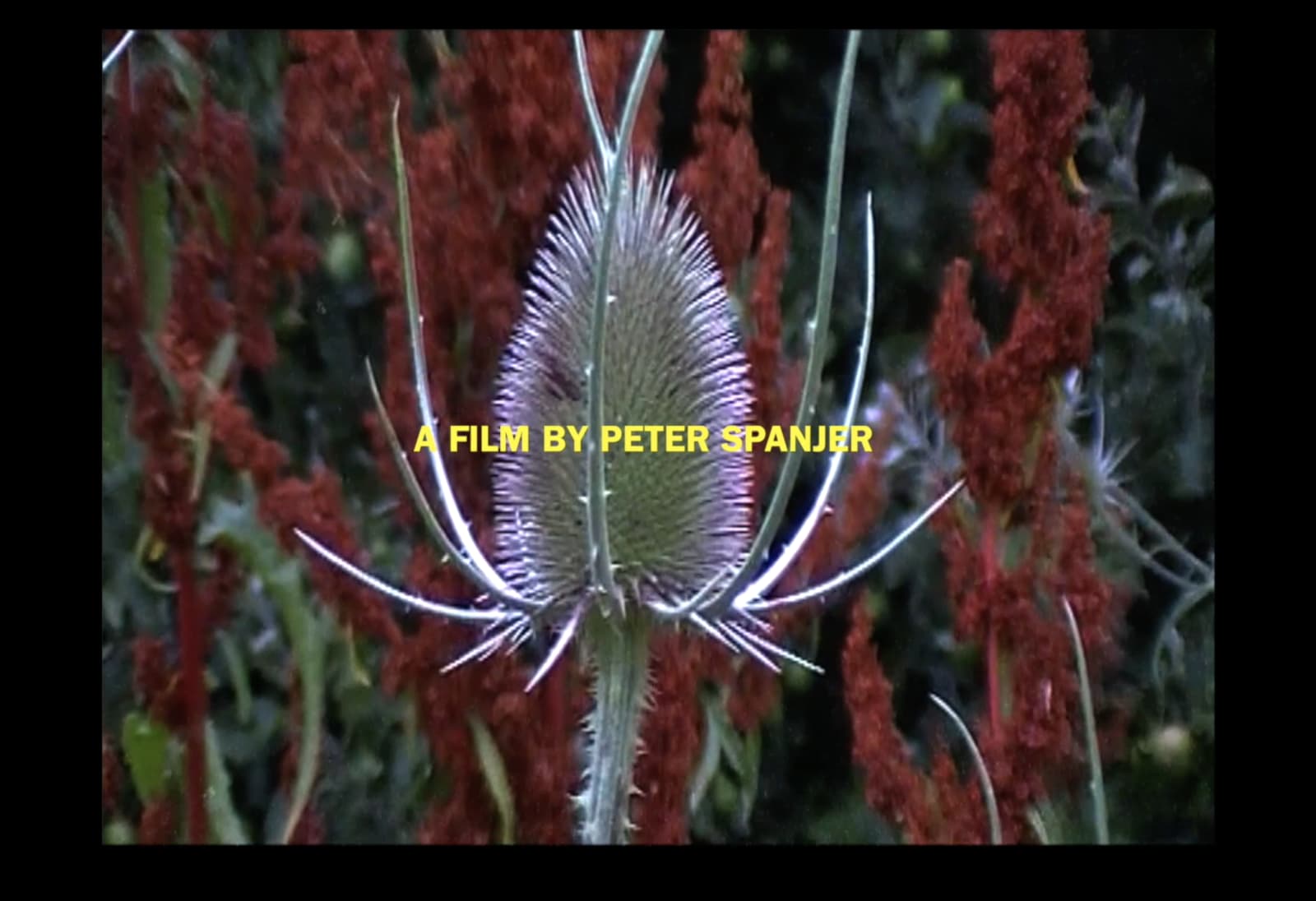 Peter Spanjer, Make Me Safe, 2020