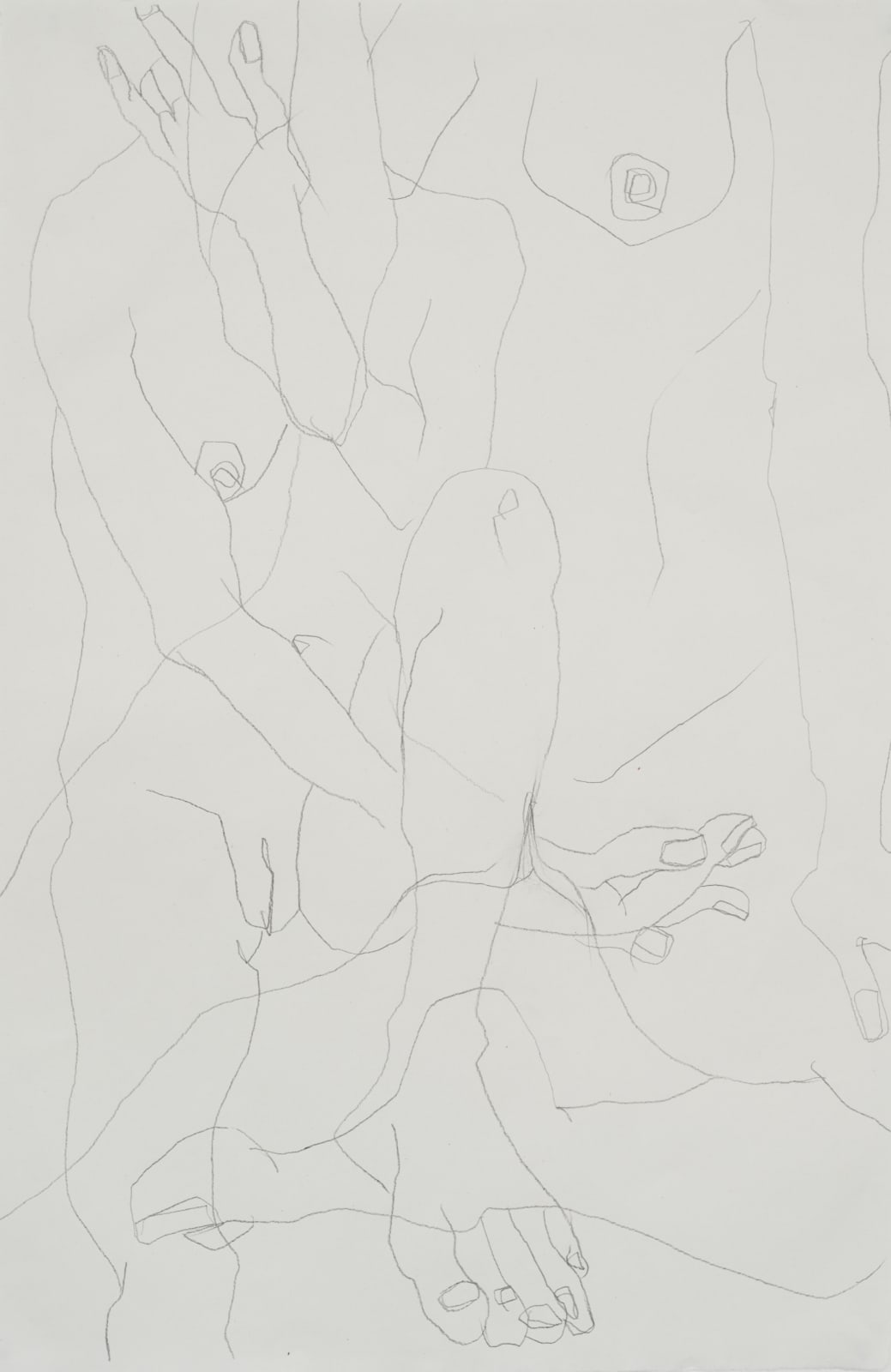 Luella Bartley, Bound, 2022