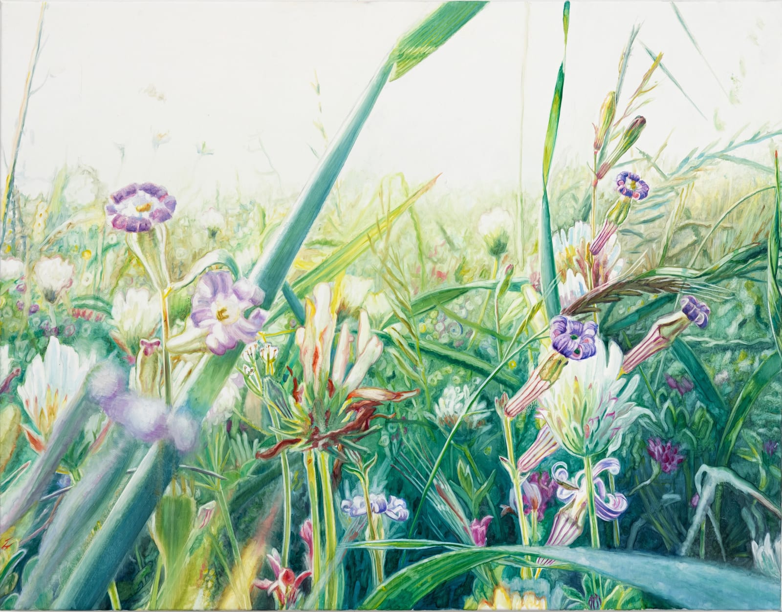 Vibeke Slyngstad, Wild Weeds-Pink Flower II, 2025