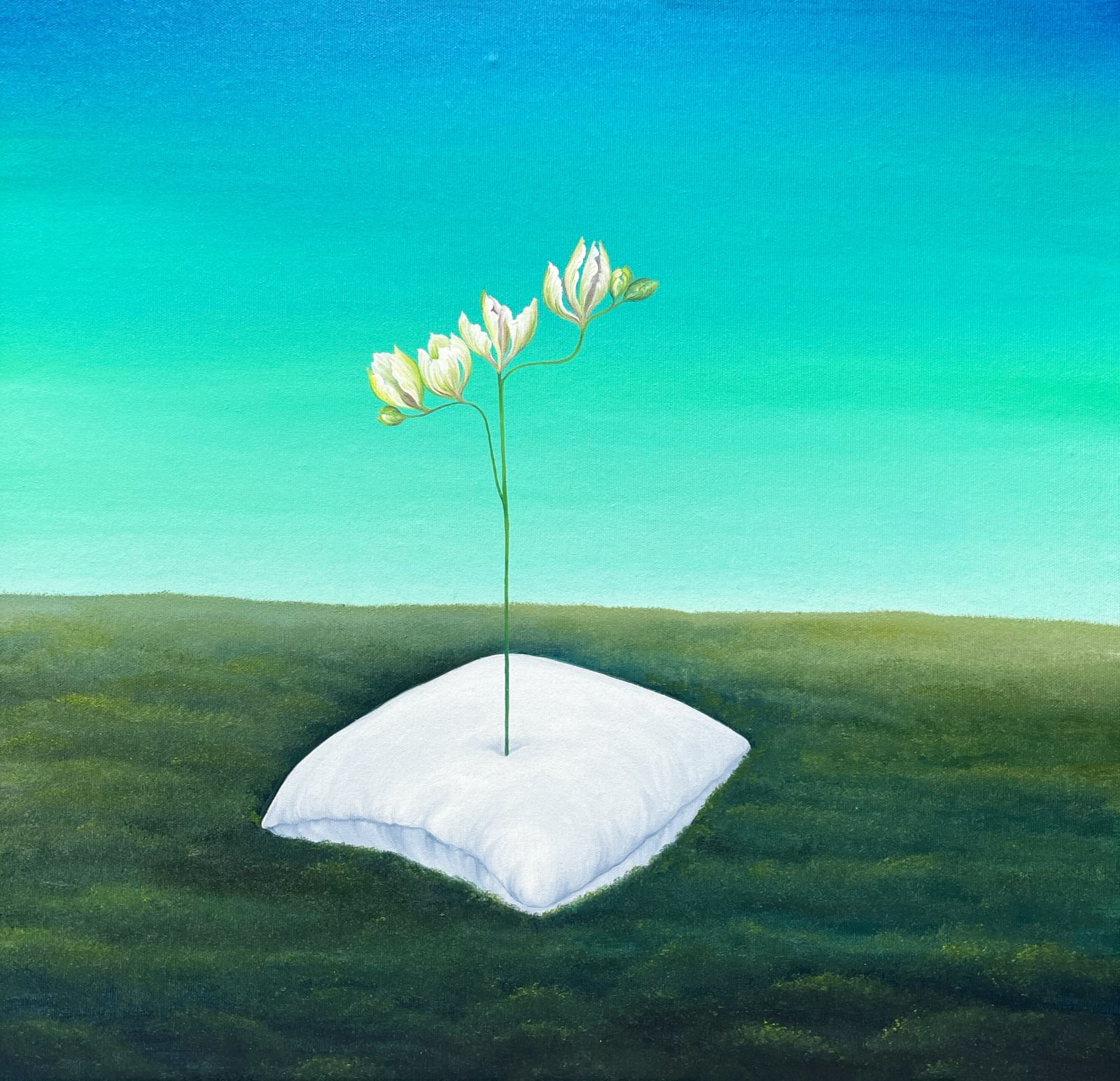 Houda Terjuman, Seeds of dreams, 2022