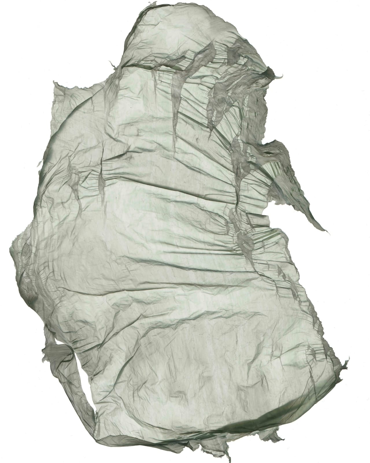 Hector Castells Matutano, Brworm, 2014