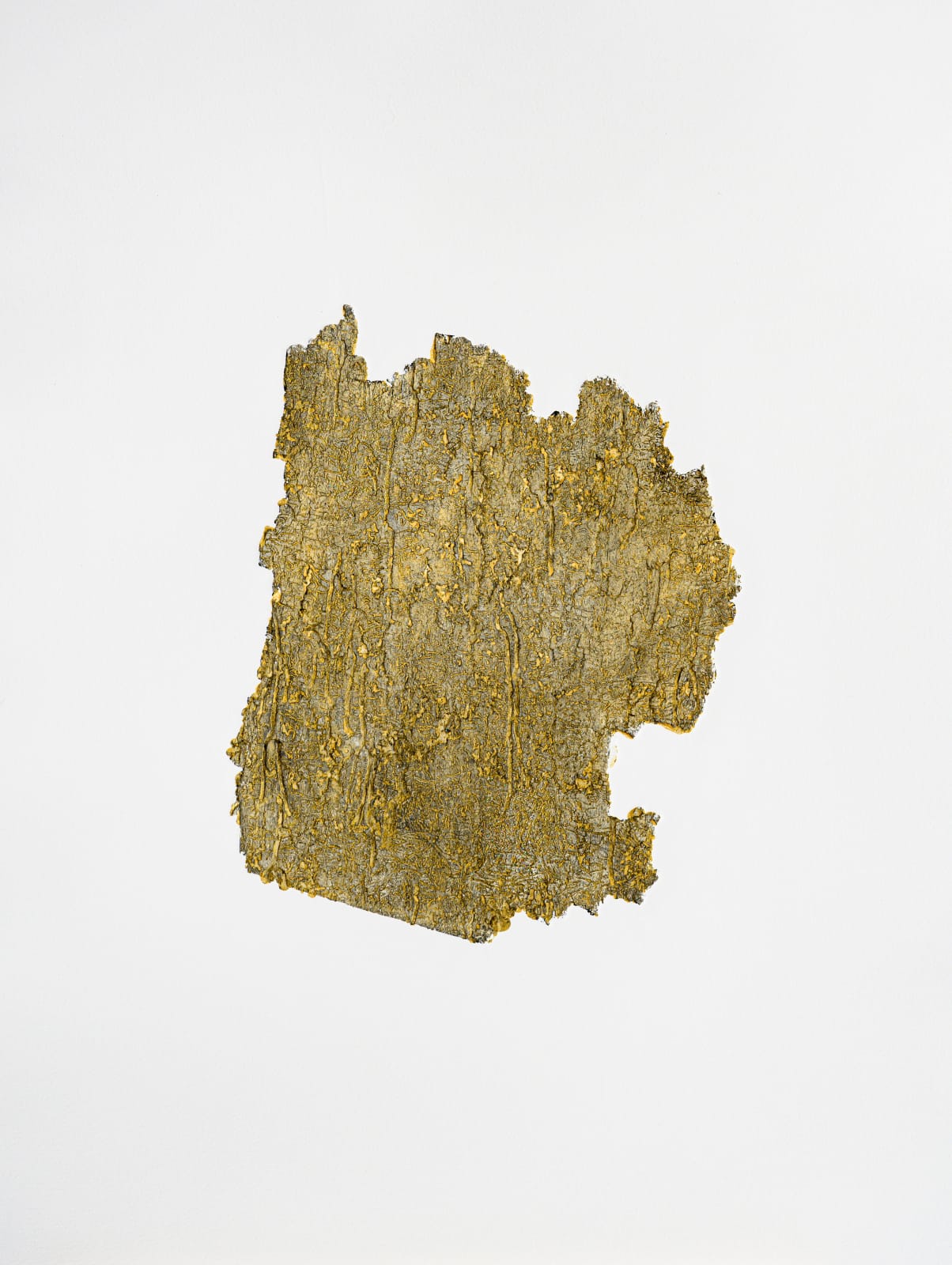 Anna Kubelík, BeFallen IV, 2025