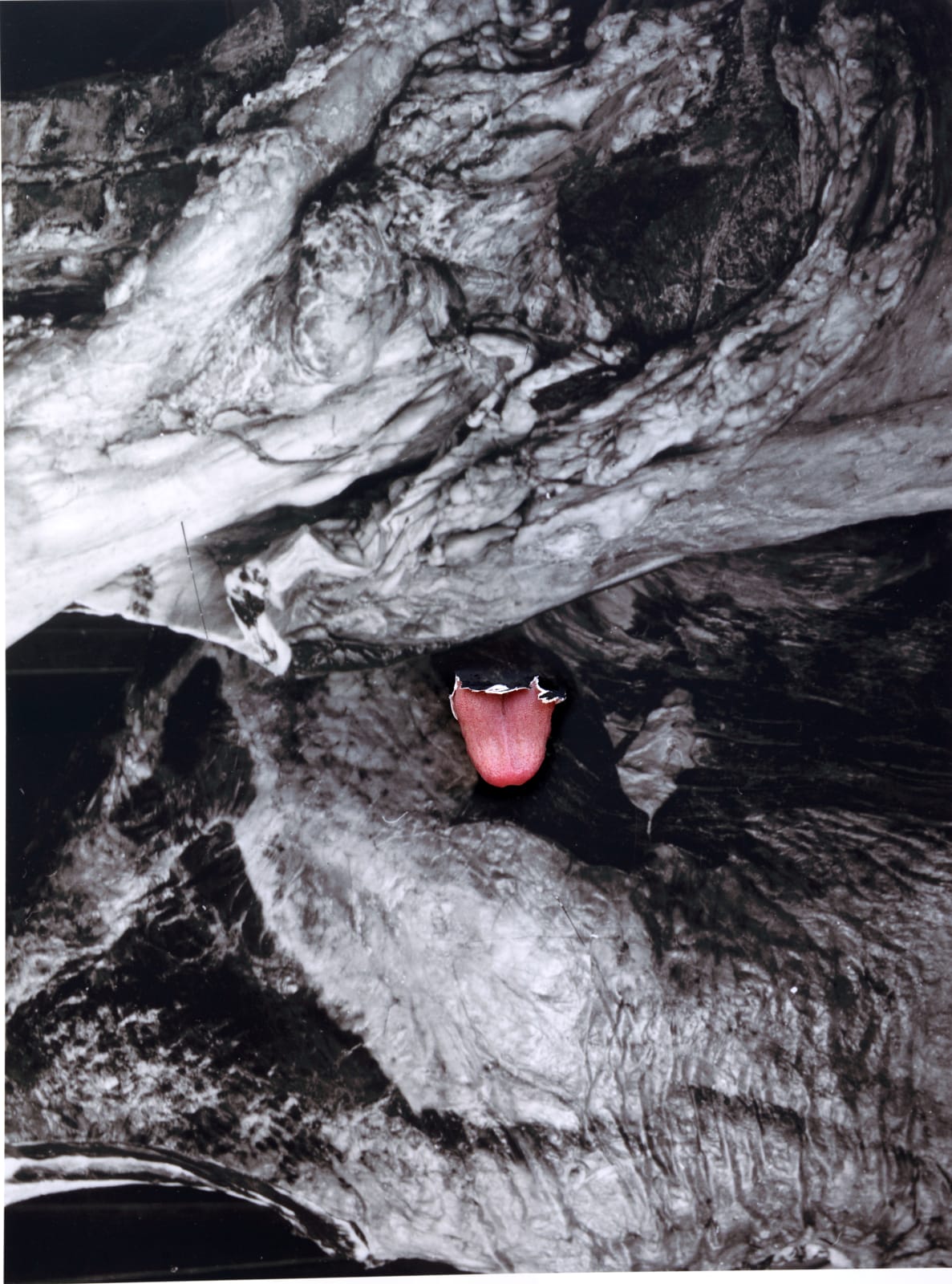Jonny Briggs, On the walls of the cave, only the shadows are the truth, 2017