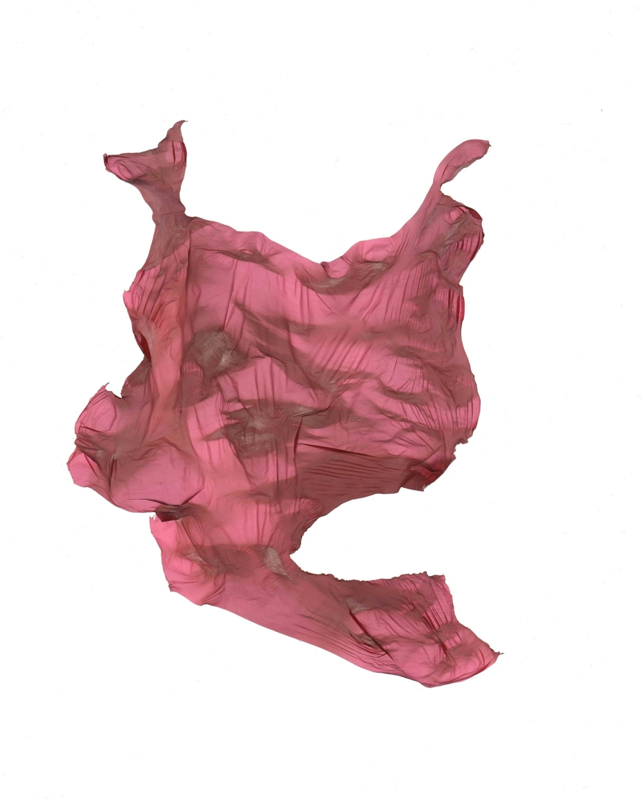 Hector Castells Matutano, Red, 2014
