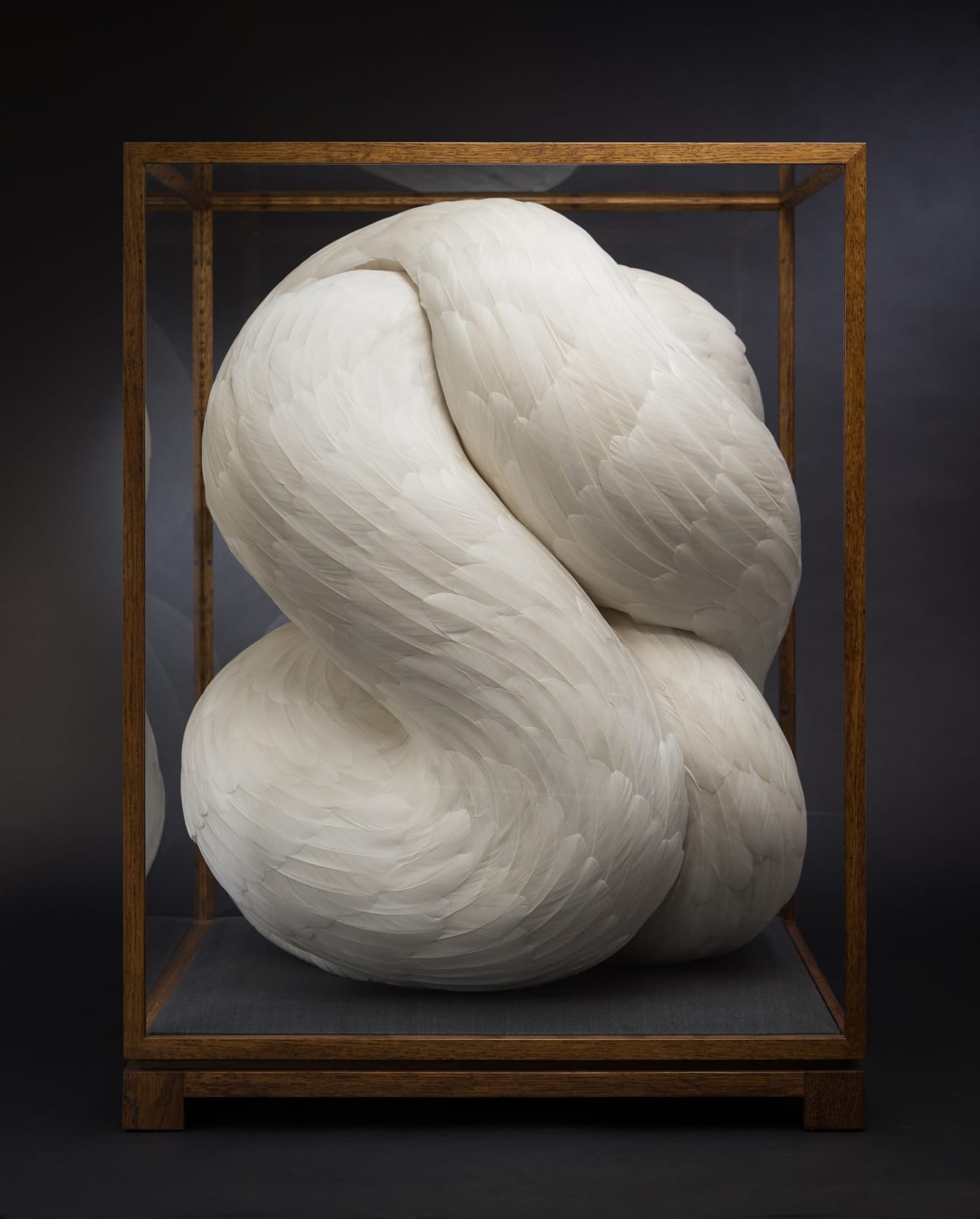 Kate MccGwire, Liminal, 2019