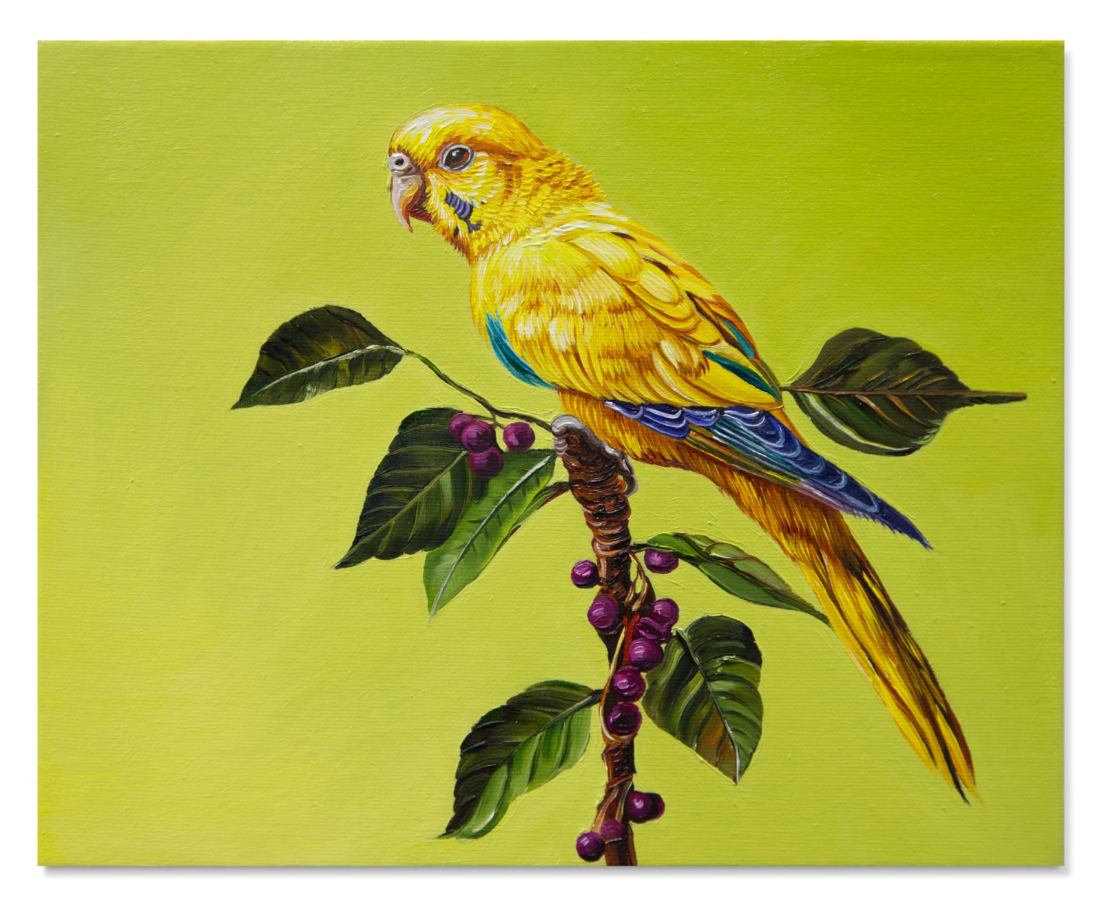 Christina Nicodema, Bird (yellow), 2025