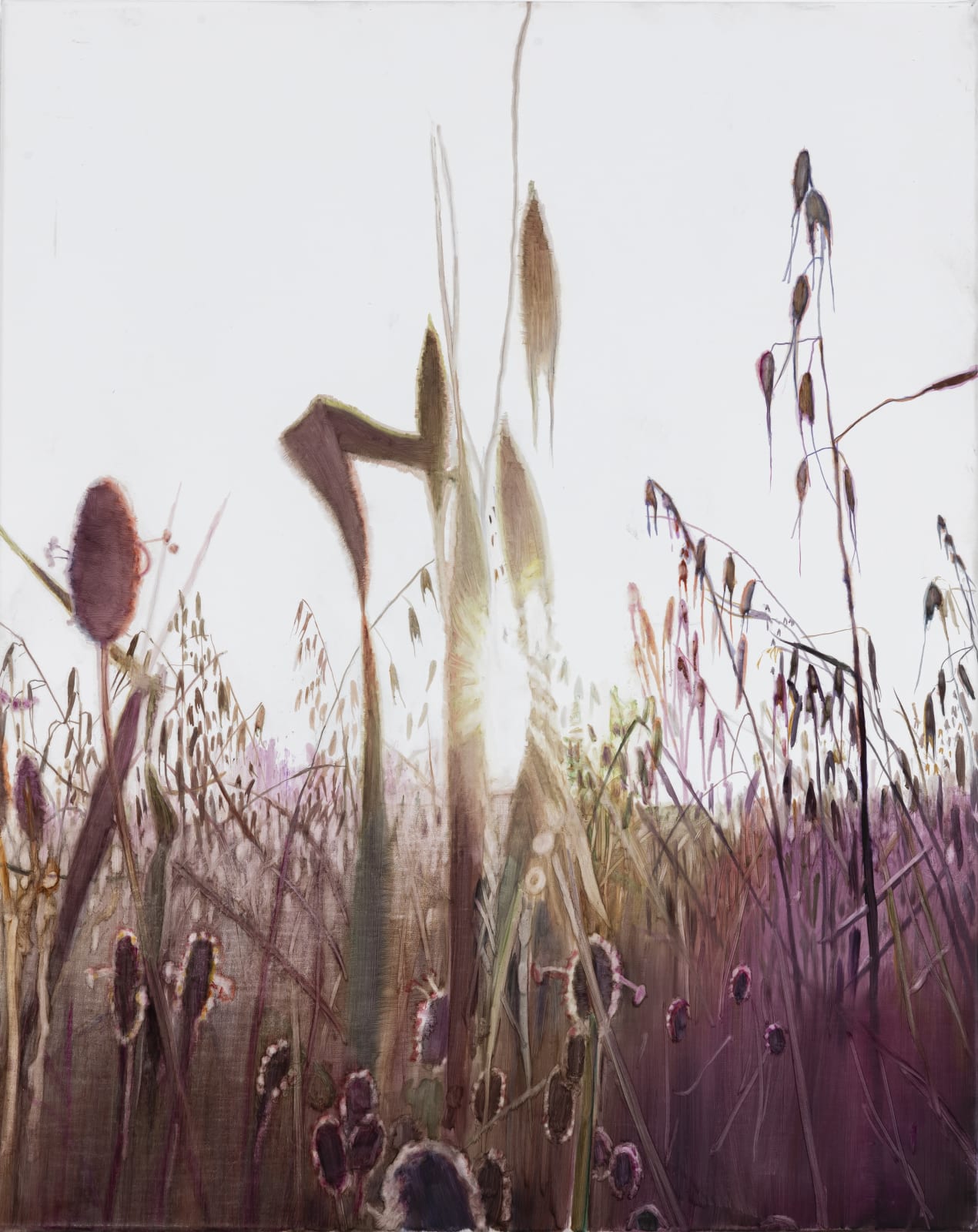 Vibeke Slyngstad, Shuafat VI, 2019