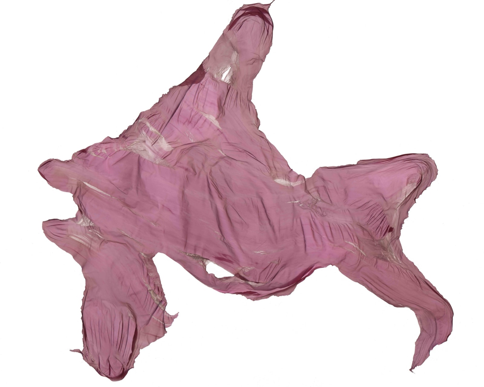 Hector Castells Matutano, Chikydog, 2014