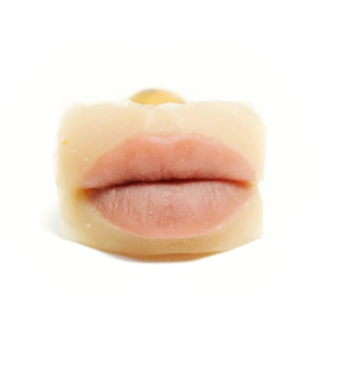 Manuela Benaim, Artists kiss stamp III