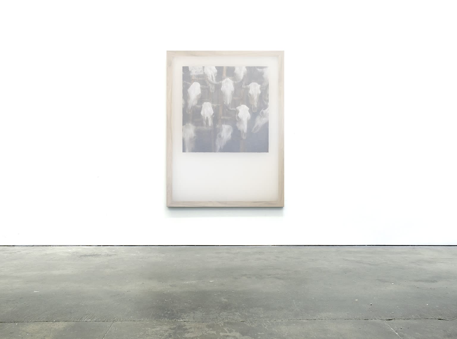 Martine Poppe, I found buffalos!, 2016