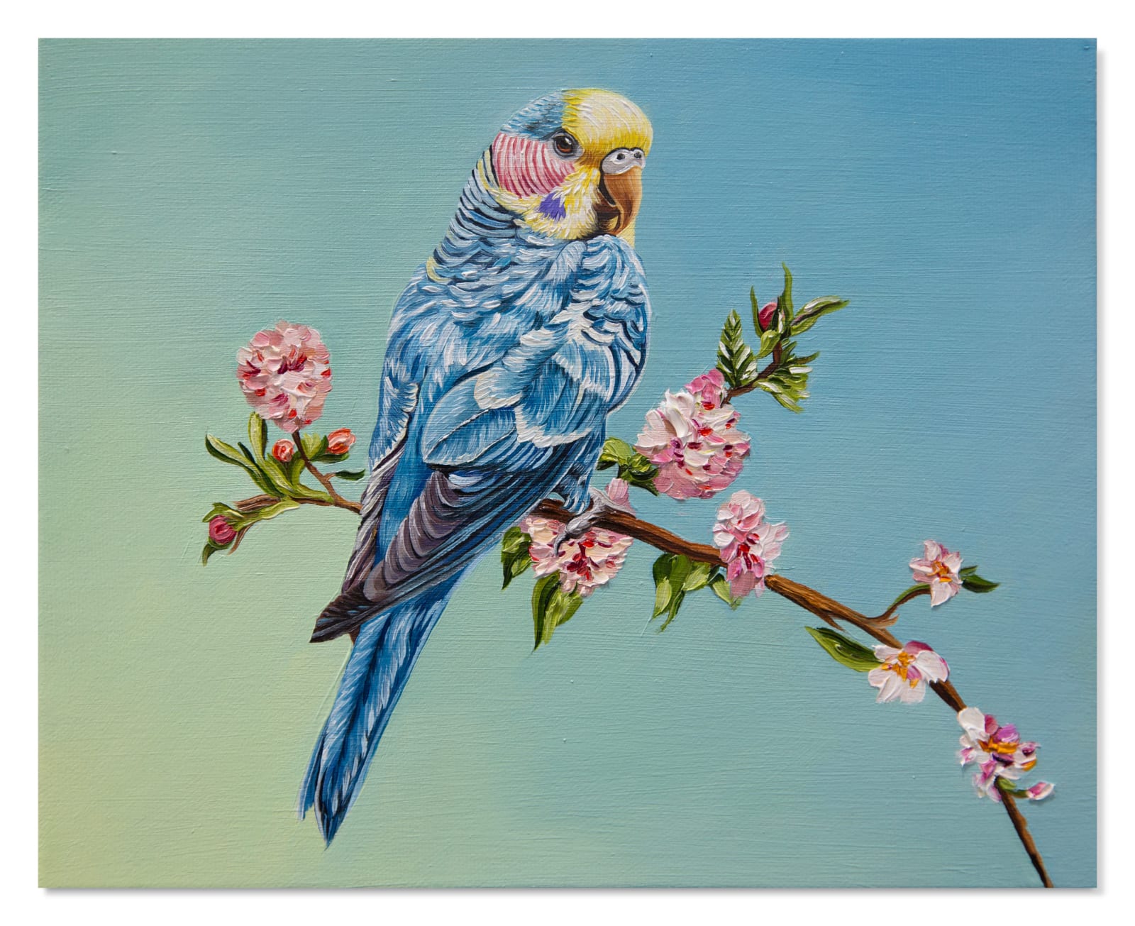 Christina Nicodema, Bird (blue #2), 2025