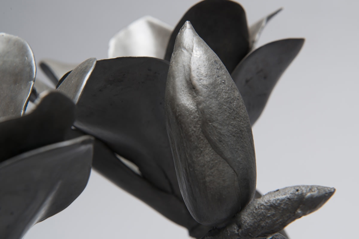 Richard Stone, in the shade of the magnolias, 2014