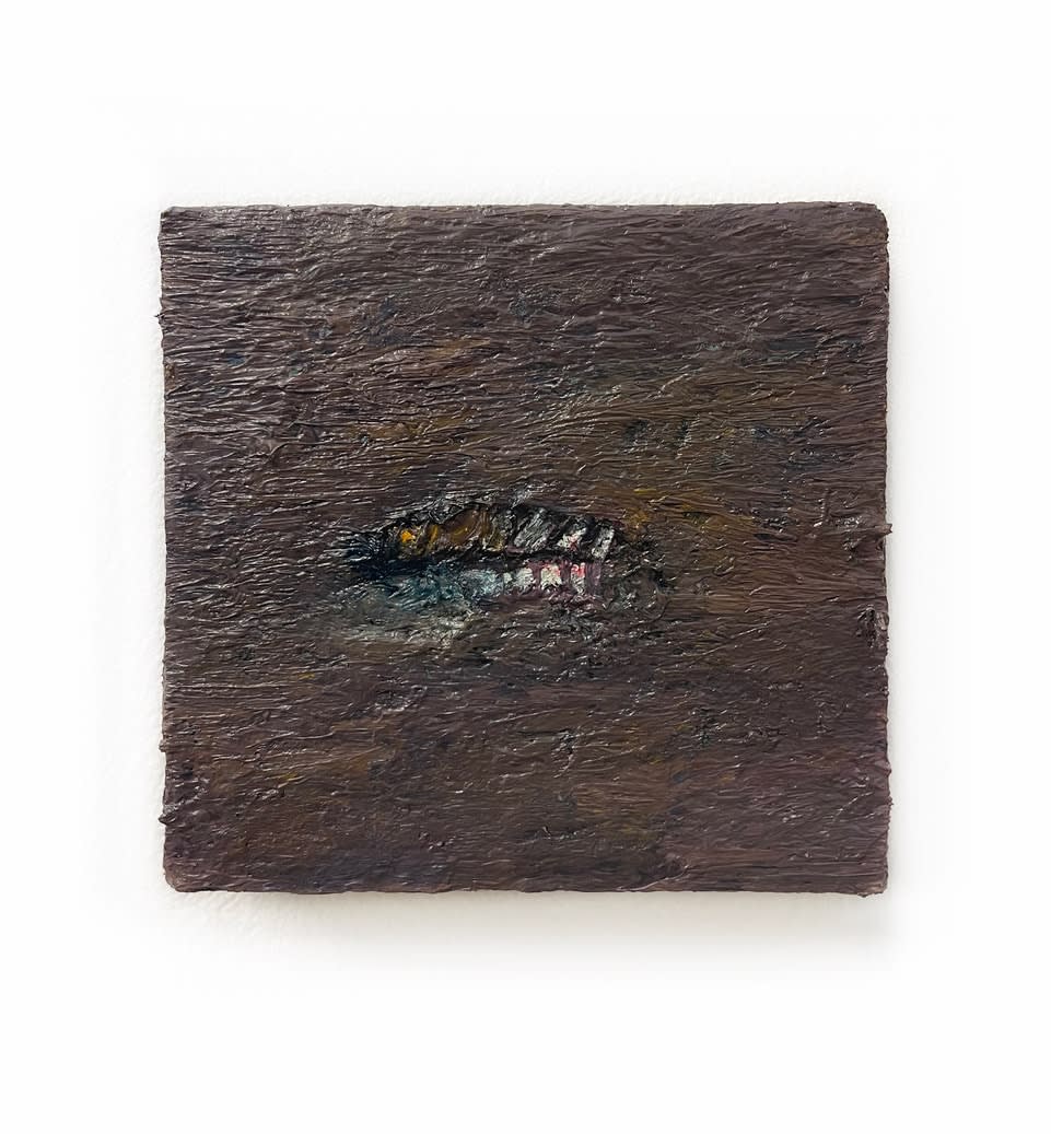 Gabriela Giroletti, Teeth, 2022
