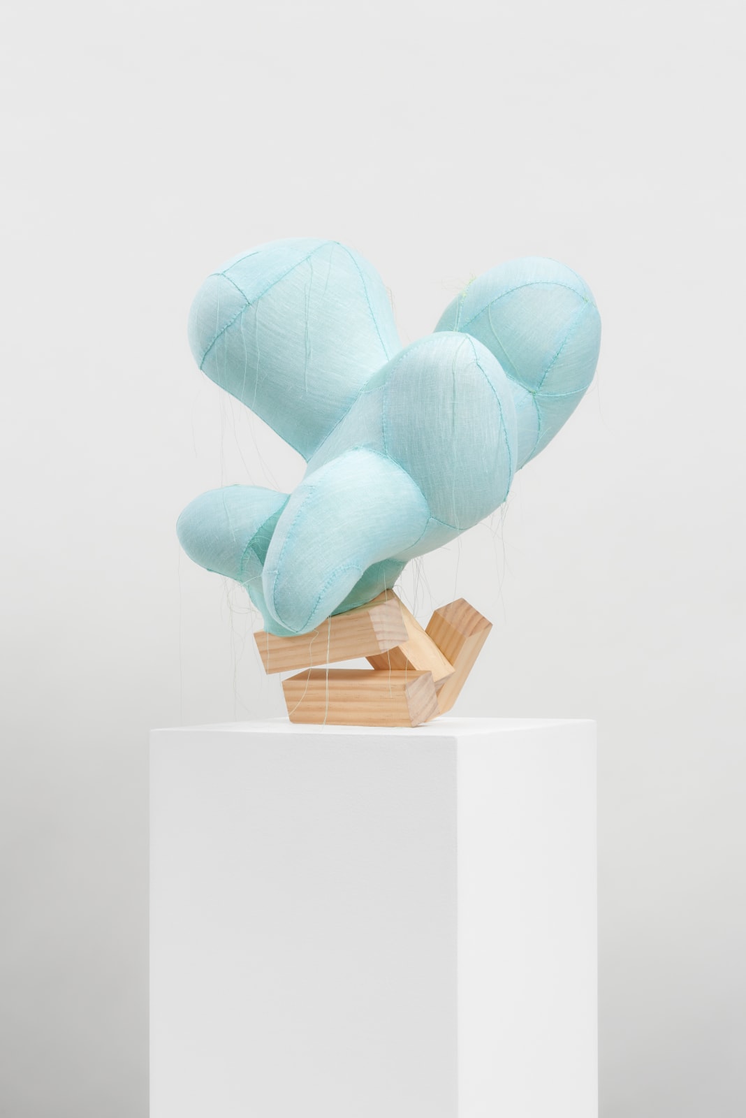 Lauren DiCioccio, Bud, 2018