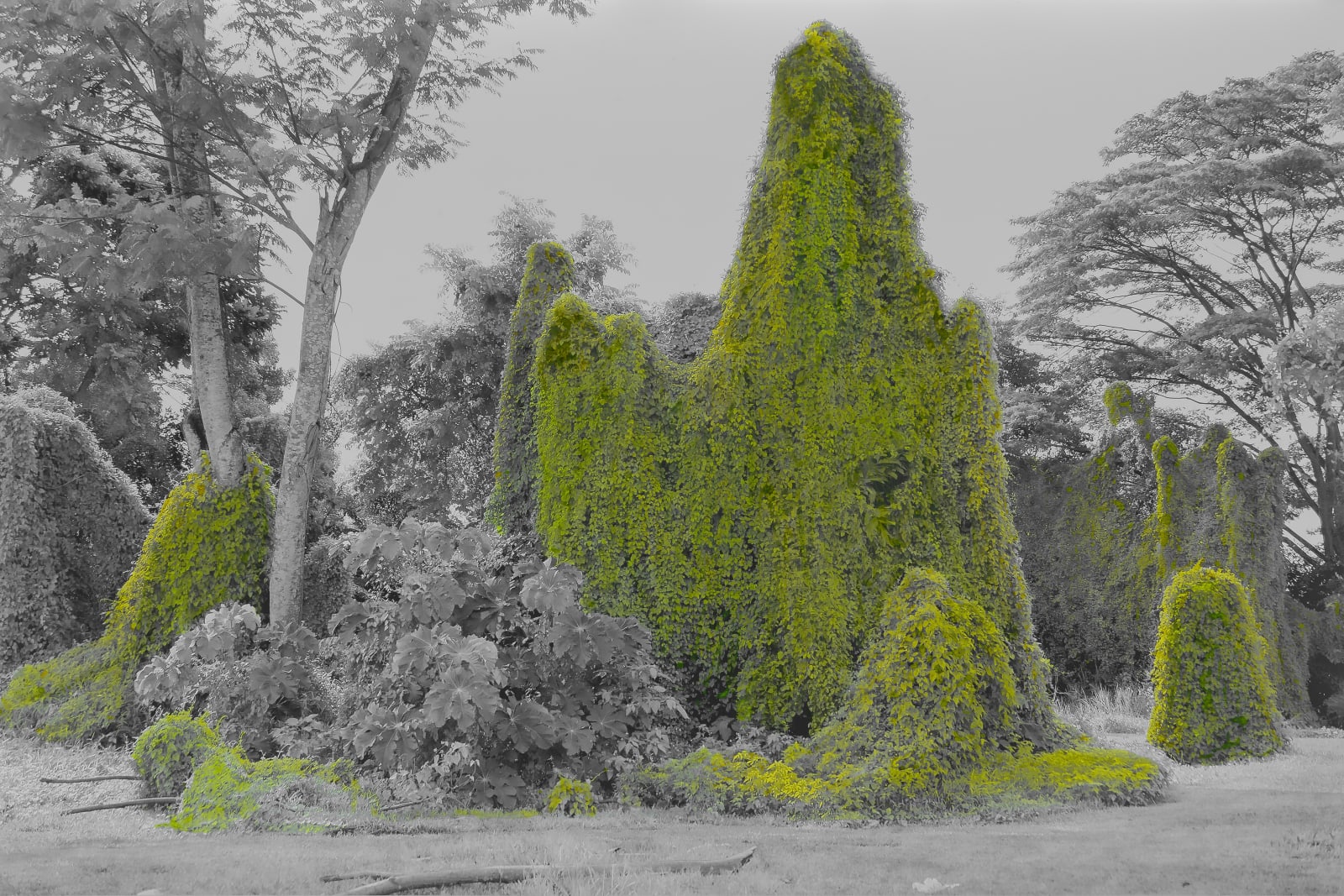Genevieve Chua, After the Flood #25, 2011 - 2020