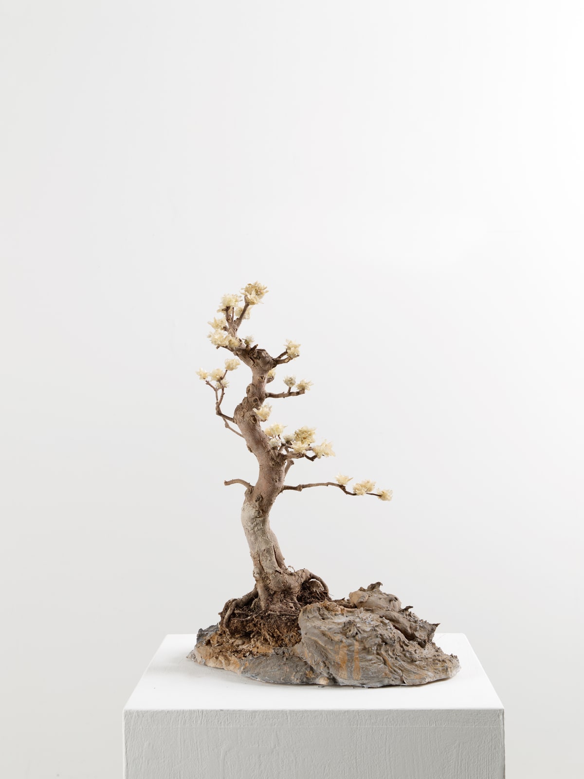 Lionel Sabatté, Île 2, 2019
