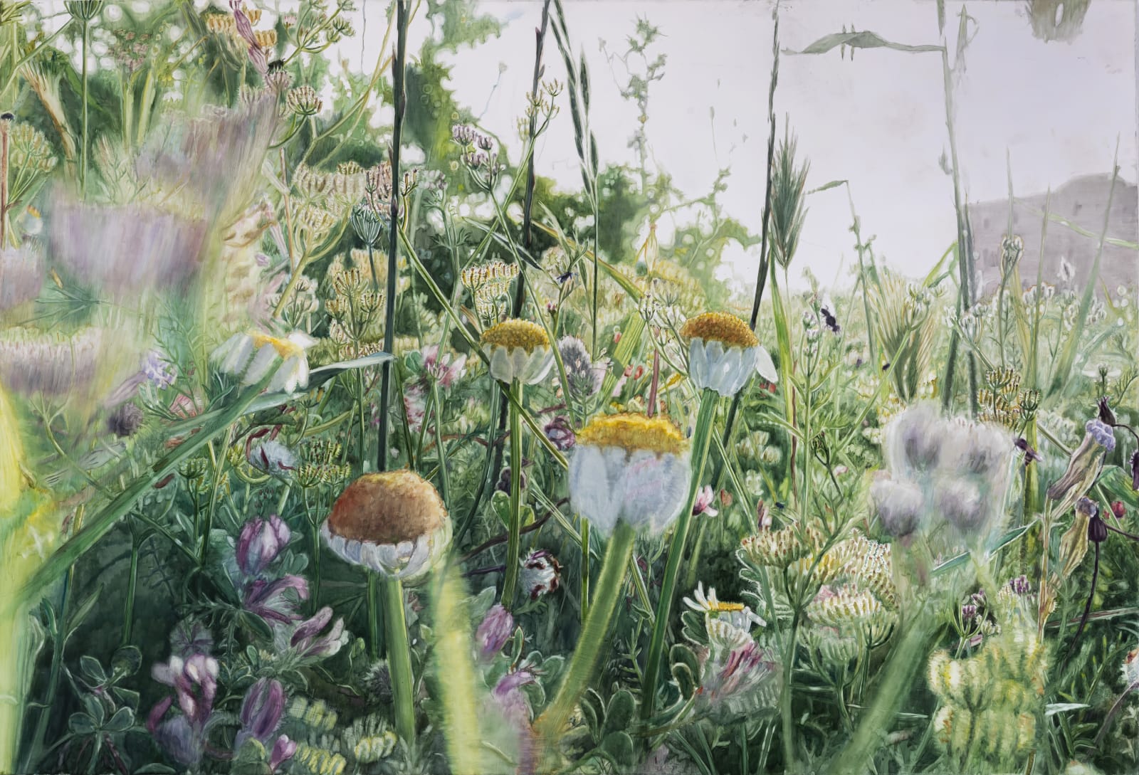 Vibeke Slyngstad, Shuafat VII, 2019