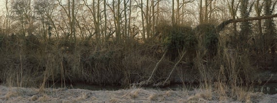 Alison Stolwood, Riverbank (Sor Brook - Convolution), 2011