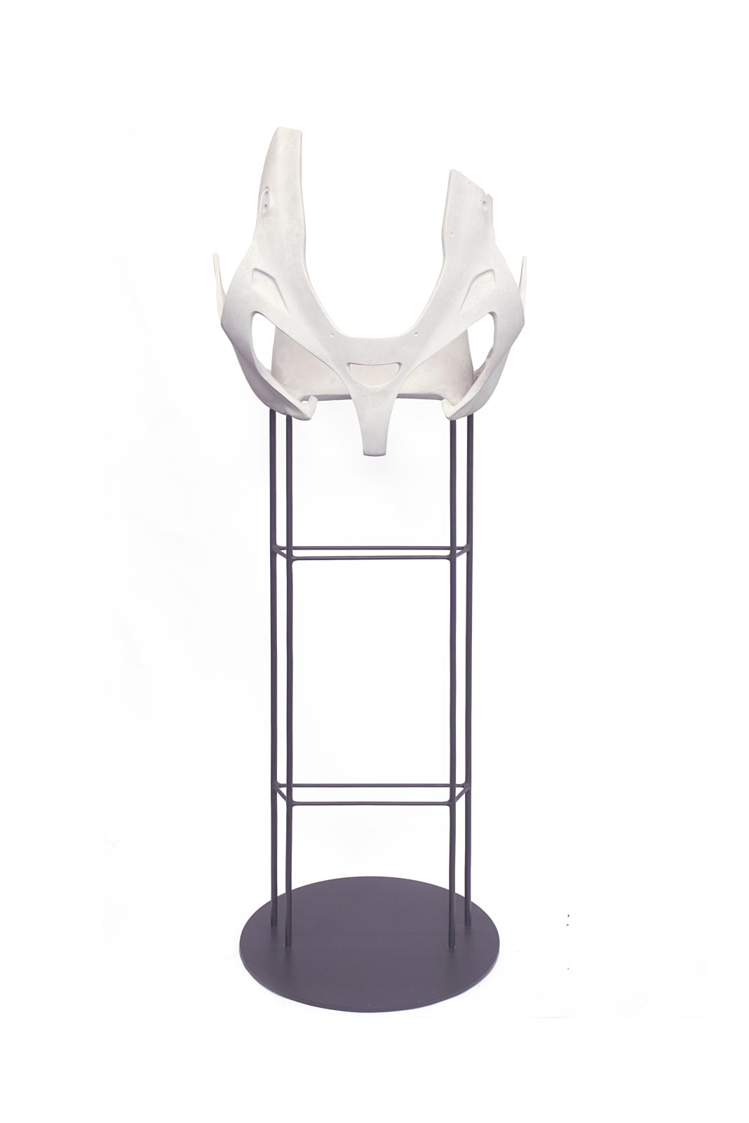 Katja Larsson, Companion Species II, 2017