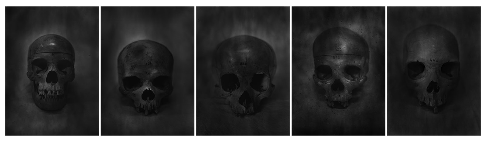 Daniel Malva, Sequence one - (6, 106, 223, 322, 442), 2015