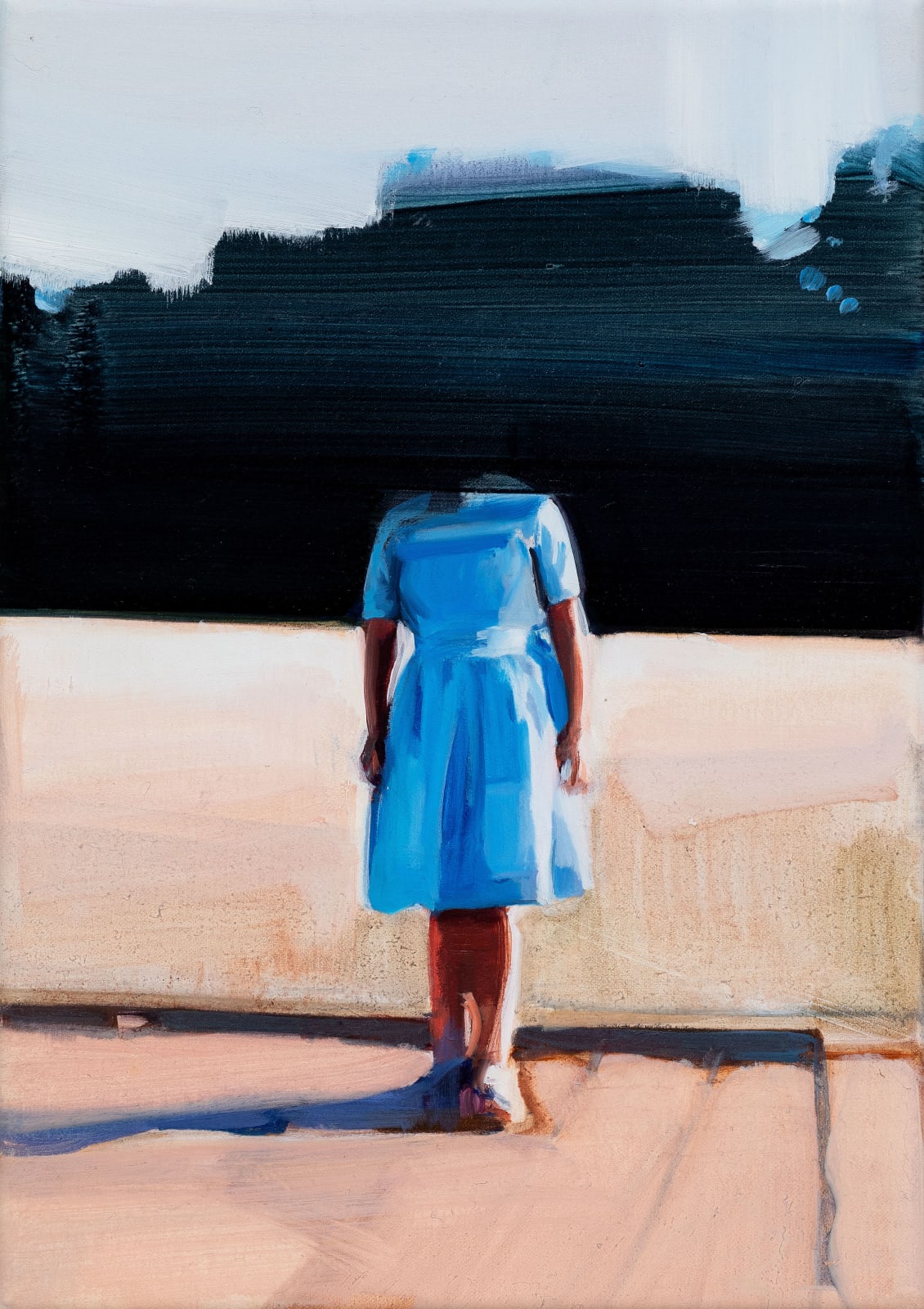 Christiane Pooley, Sunlight series: El último potrero, 2020