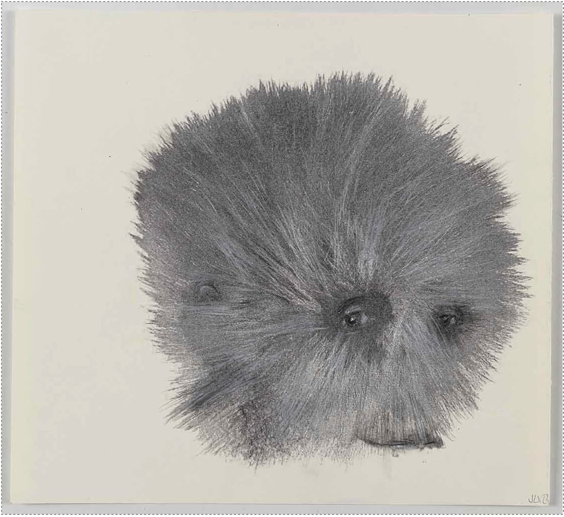 Jean-Luc Verna, Monsieur Ponpon, 2023
