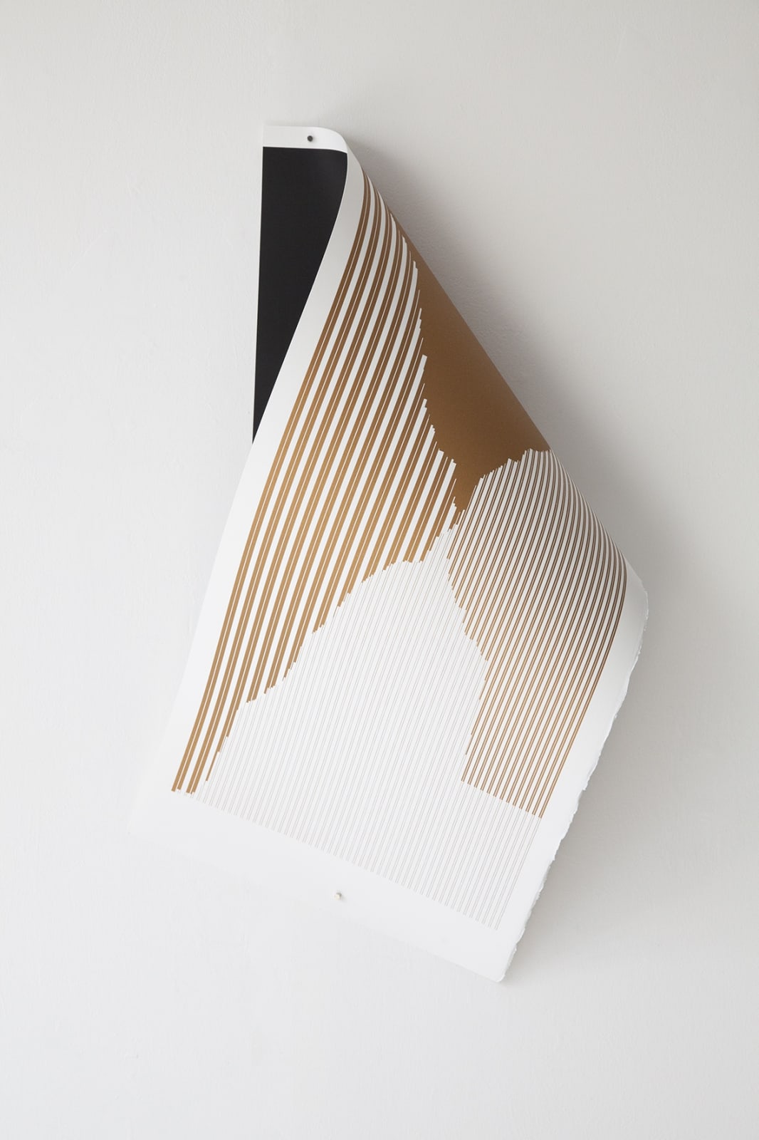 Fabio Lattanzi Antinori, A New Evidence 1, 2016