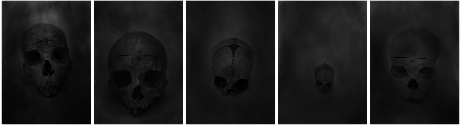 Daniel Malva, Sequence two - (8, 111, 210, 327, 430), 2015
