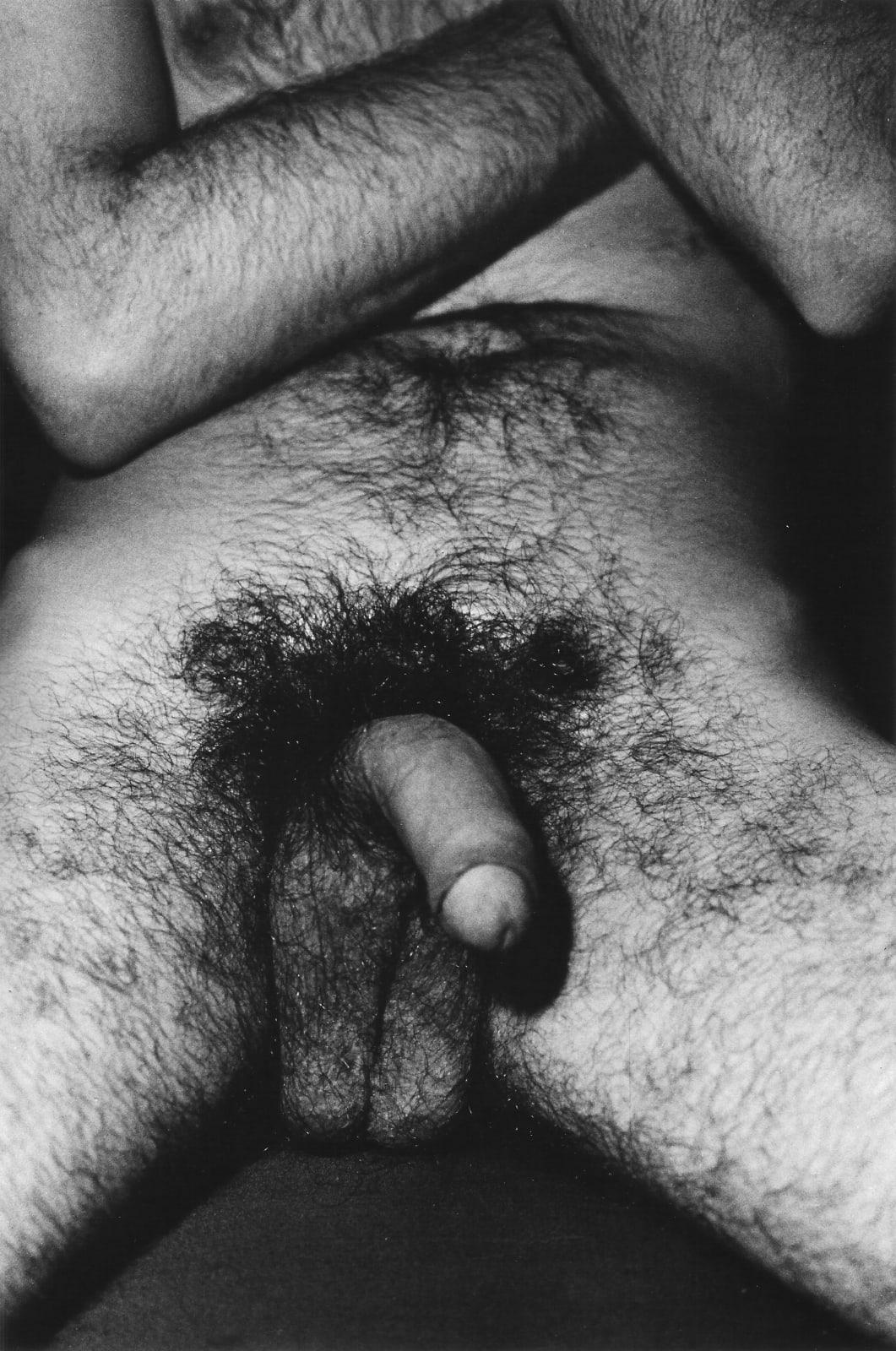Alair Gomes, Symphony of Erotic Icons #20, 1966 to 1978