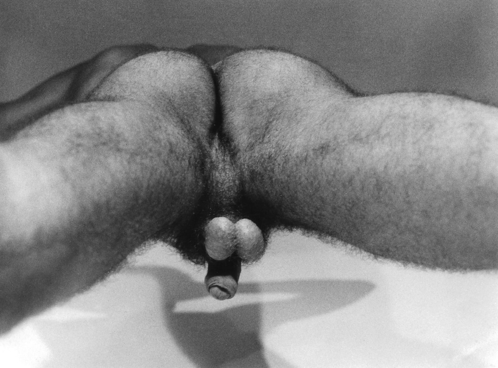 Alair Gomes, Symphony of Erotic Icons #32, 1966 to 1978