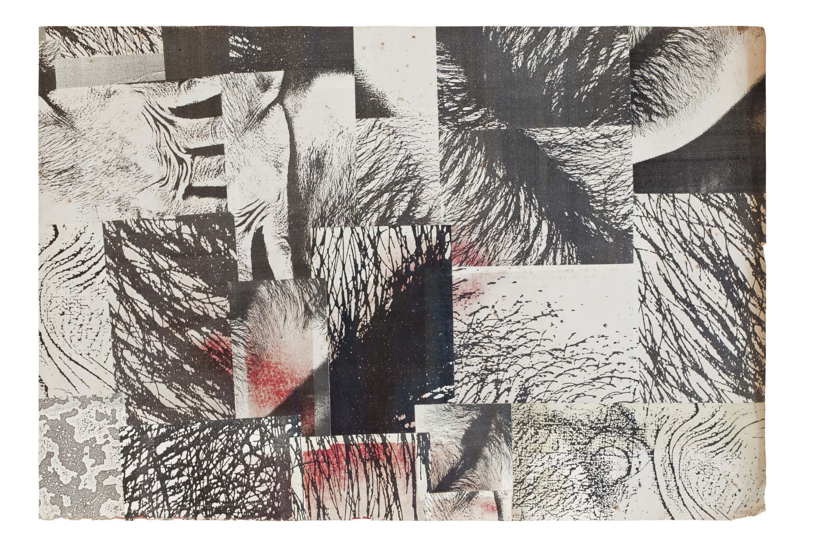 Hudinilson Jr., Untitled, 1982
