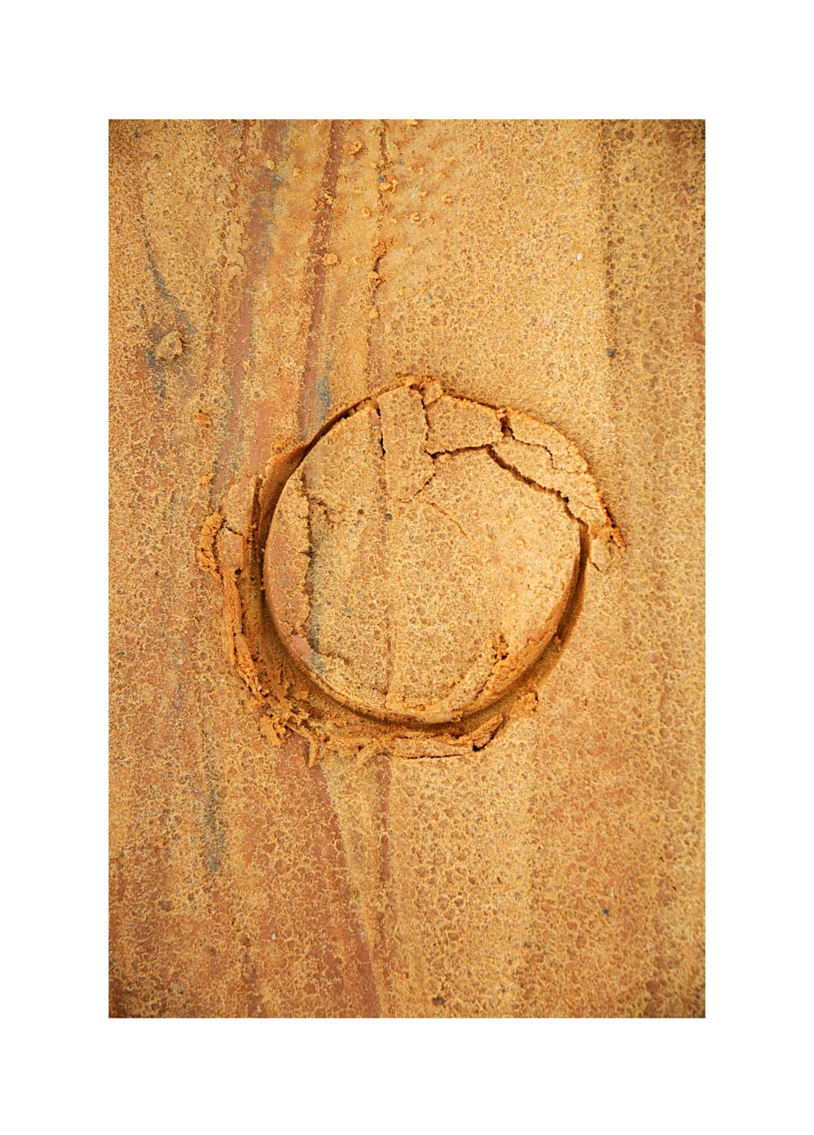 Lucia Pizzani, Terra, 2010