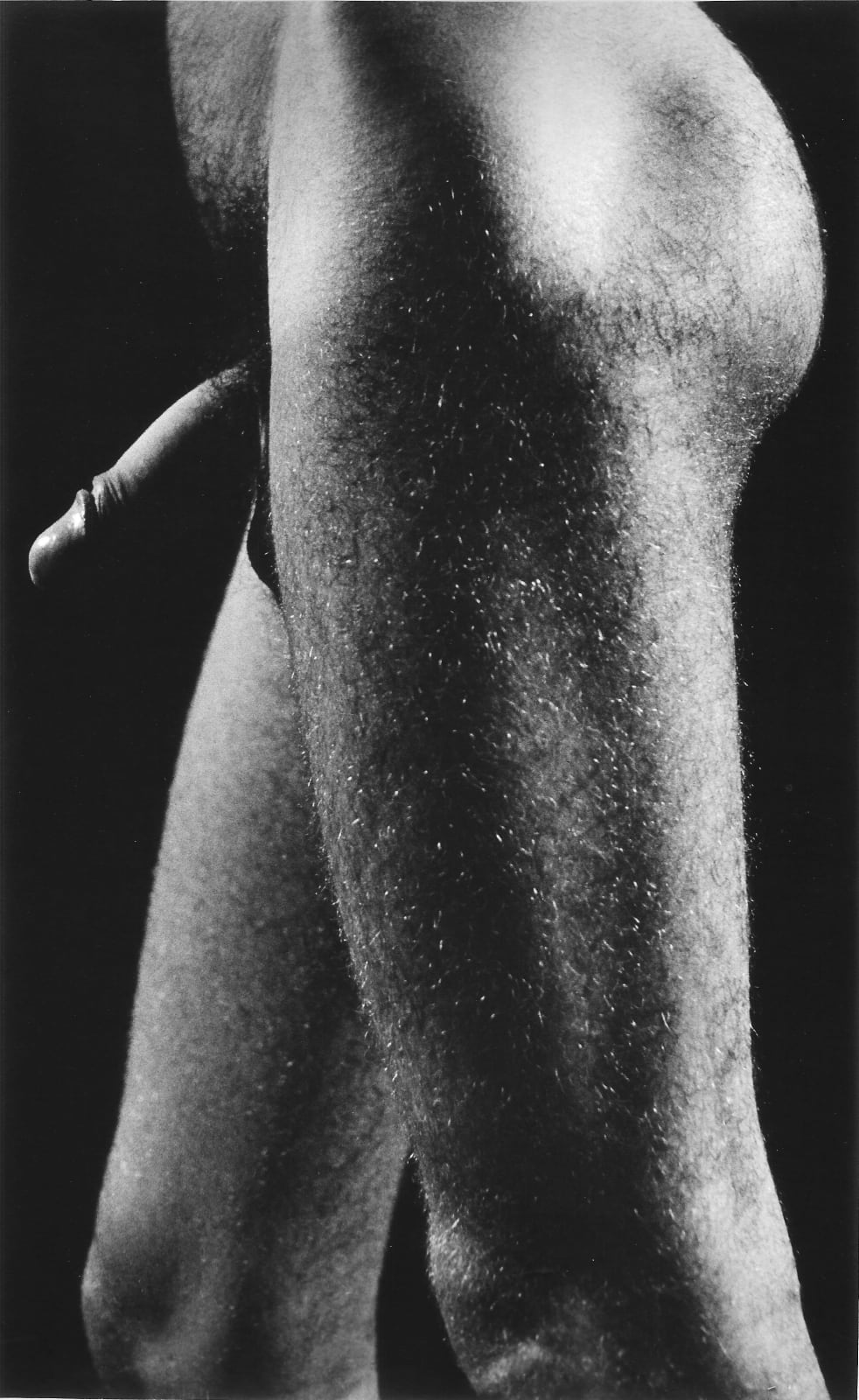 Alair Gomes, Symphony of Erotic Icons #2, 1966 to 1978