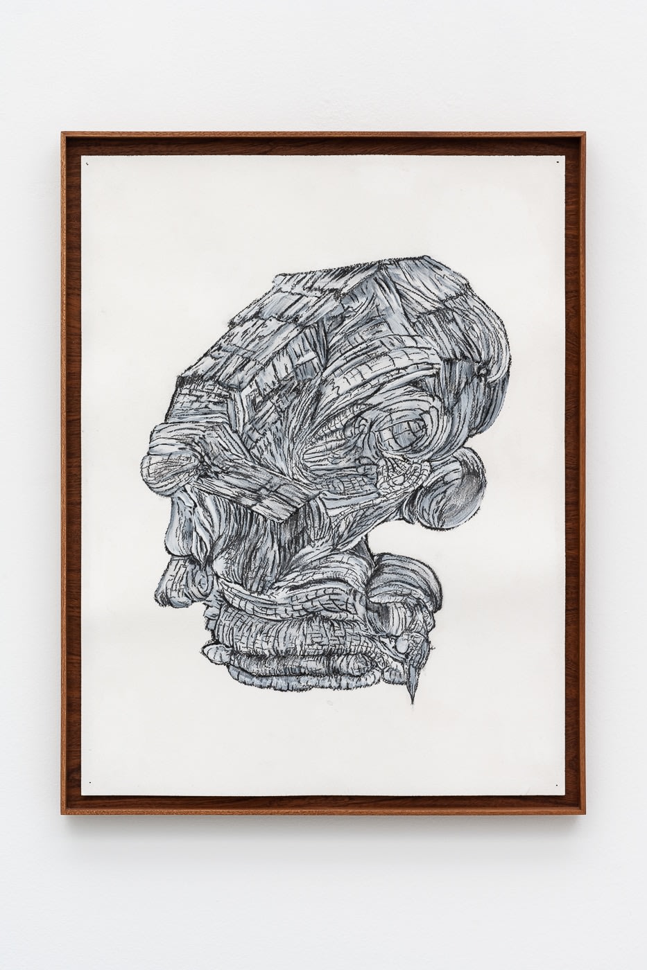 Henrique Oliveira, Untitled, 2022