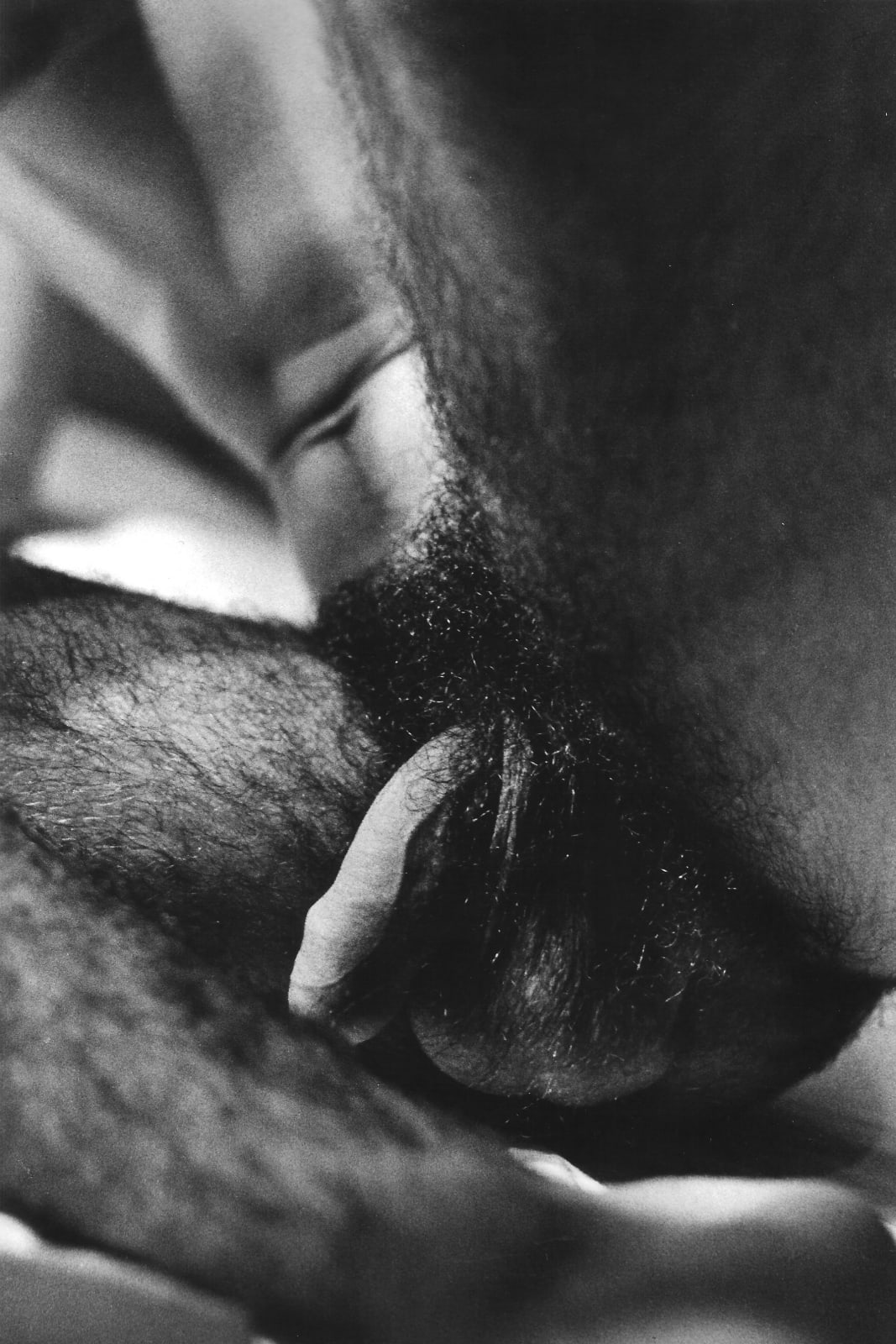 Alair Gomes, Symphony of Erotic Icons #22, 1966 to 1978