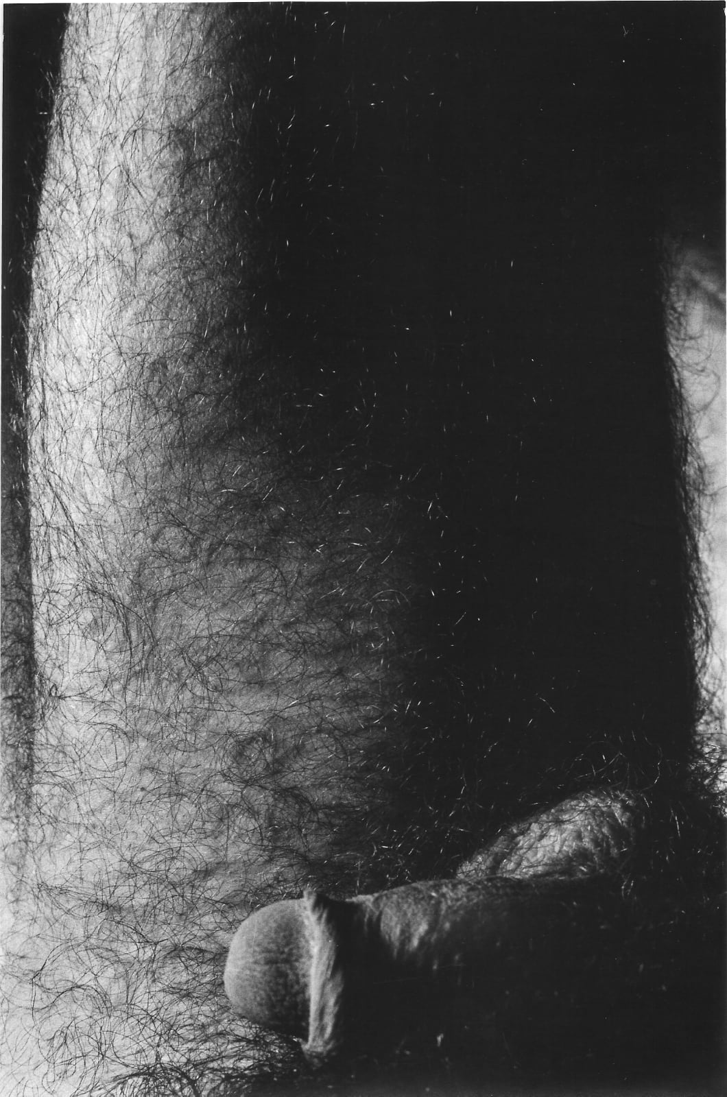Alair Gomes, Symphony of Erotic Icons #11, 1966 to 1978