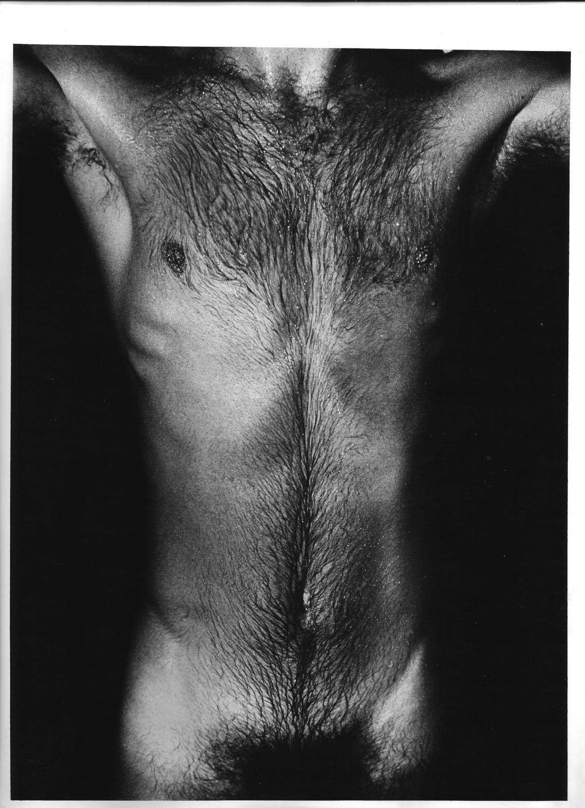 Alair Gomes, Symphony of Erotic Icons #17, 1966 to 1978