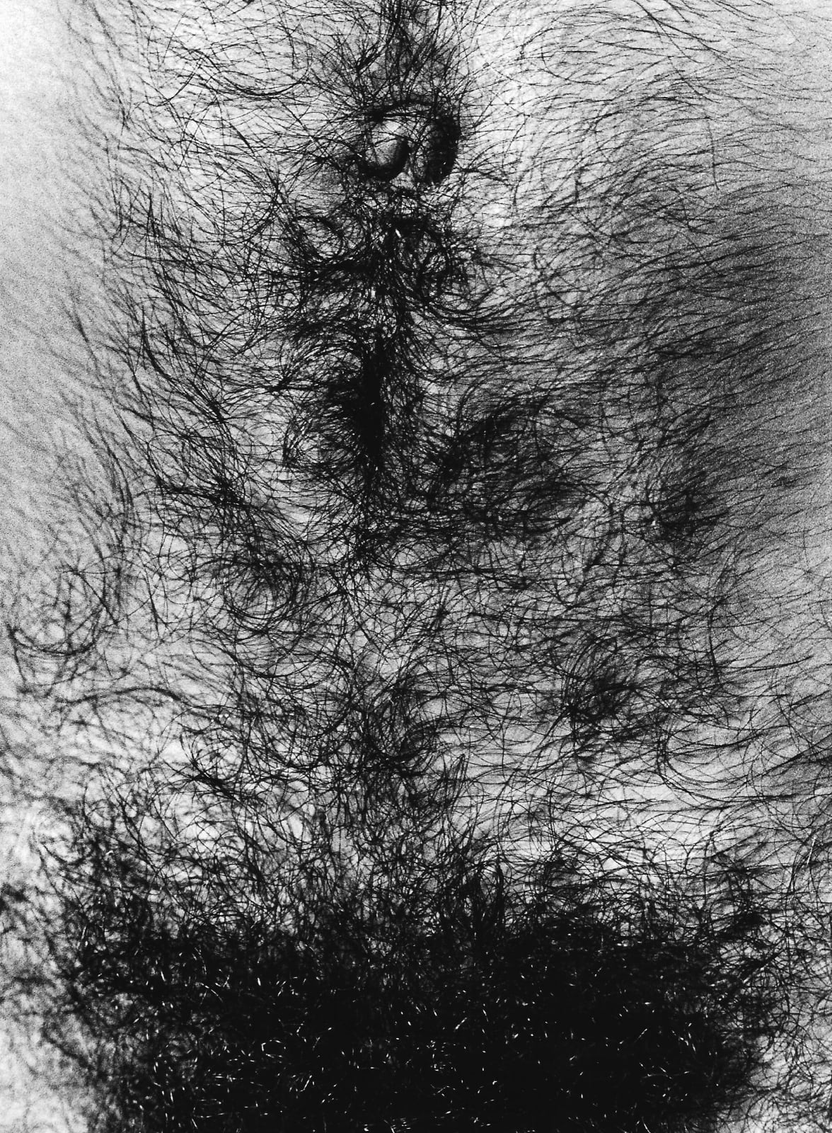 Alair Gomes, Symphony of Erotic Icons #24, 1966 to 1978