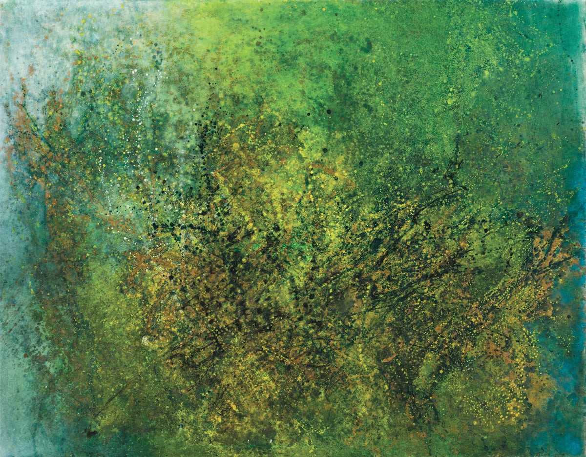 Lalan 謝景蘭, La révolte des Mimosas | The Revolt of the Mimosas《金合歡起義》, 1994