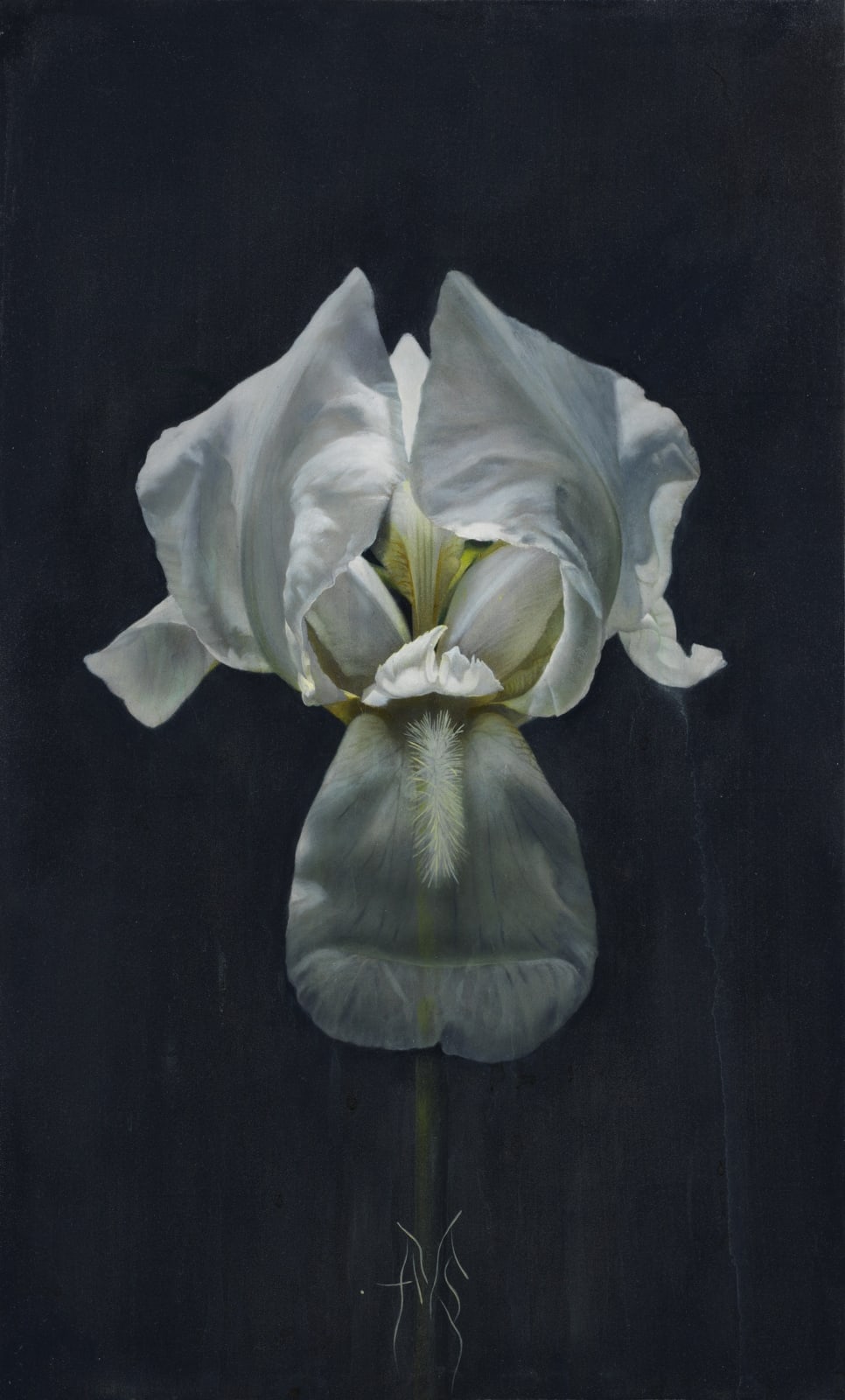 Atsushi Suwa 諏訪敦, Mixed Race Ver. 4 《混血之四》, 2018-2019