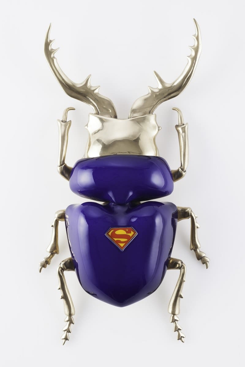 Matteo Pugliese 瑪蒂奧 ‧ 培利思, Allotopus Kal-Eli , 2013